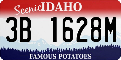 ID license plate 3B1628M