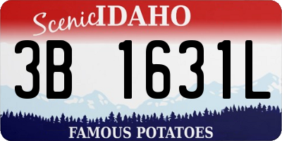 ID license plate 3B1631L