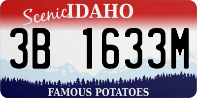 ID license plate 3B1633M