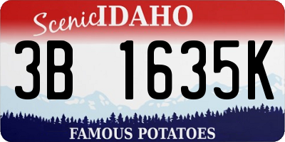 ID license plate 3B1635K