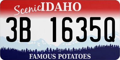 ID license plate 3B1635Q