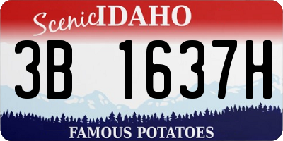 ID license plate 3B1637H