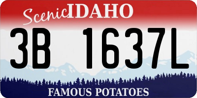 ID license plate 3B1637L