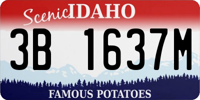 ID license plate 3B1637M