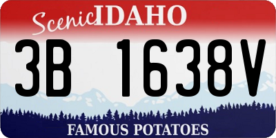 ID license plate 3B1638V
