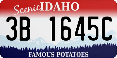 ID license plate 3B1645C
