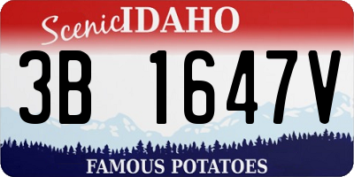 ID license plate 3B1647V