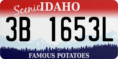 ID license plate 3B1653L
