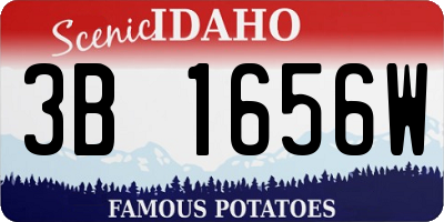 ID license plate 3B1656W