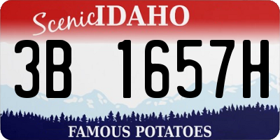 ID license plate 3B1657H