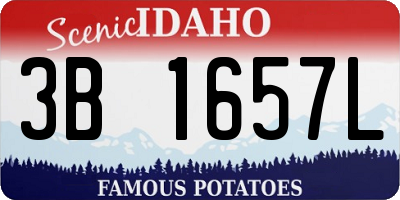 ID license plate 3B1657L