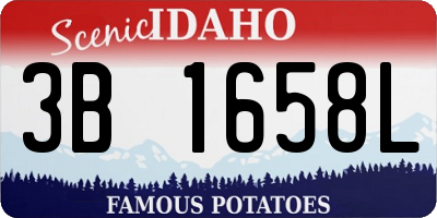 ID license plate 3B1658L