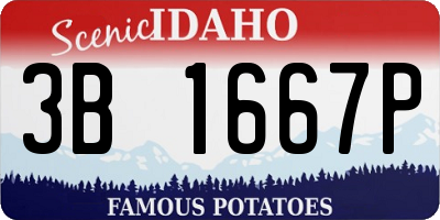 ID license plate 3B1667P