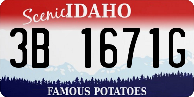 ID license plate 3B1671G