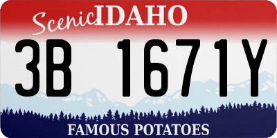 ID license plate 3B1671Y