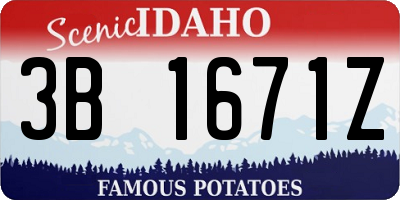 ID license plate 3B1671Z