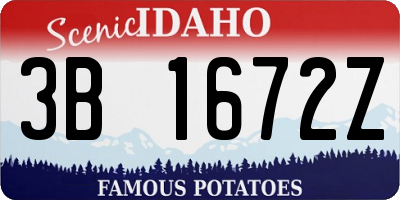 ID license plate 3B1672Z