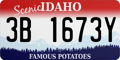 ID license plate 3B1673Y