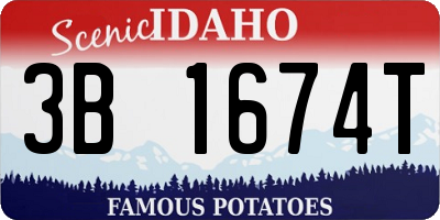ID license plate 3B1674T