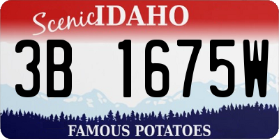 ID license plate 3B1675W