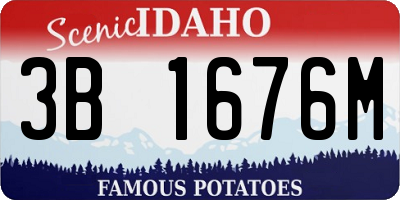 ID license plate 3B1676M