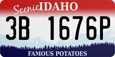 ID license plate 3B1676P