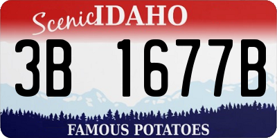 ID license plate 3B1677B