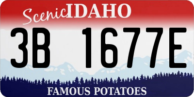 ID license plate 3B1677E