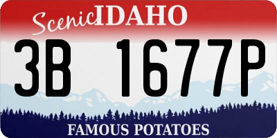 ID license plate 3B1677P