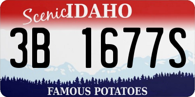 ID license plate 3B1677S