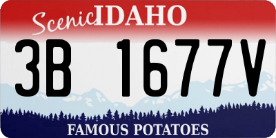 ID license plate 3B1677V