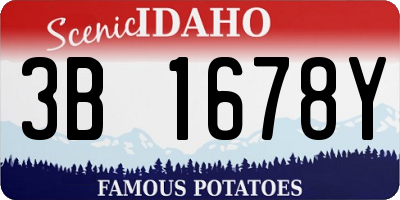 ID license plate 3B1678Y