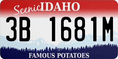 ID license plate 3B1681M
