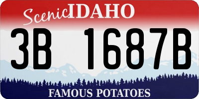 ID license plate 3B1687B