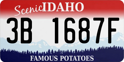 ID license plate 3B1687F