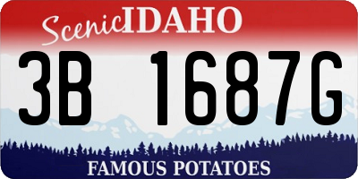ID license plate 3B1687G