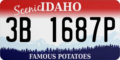 ID license plate 3B1687P
