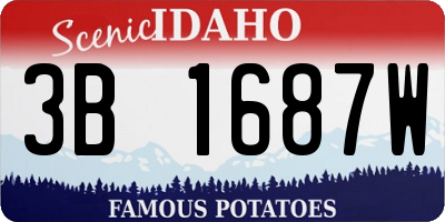 ID license plate 3B1687W
