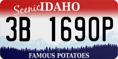 ID license plate 3B1690P