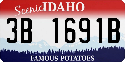 ID license plate 3B1691B