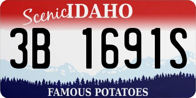 ID license plate 3B1691S