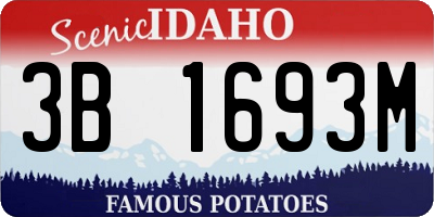 ID license plate 3B1693M