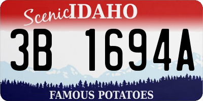ID license plate 3B1694A