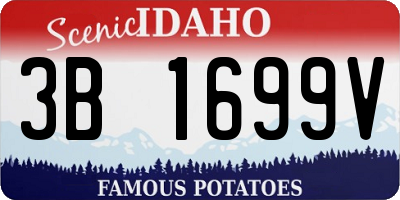ID license plate 3B1699V