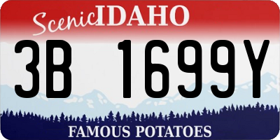 ID license plate 3B1699Y
