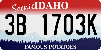 ID license plate 3B1703K