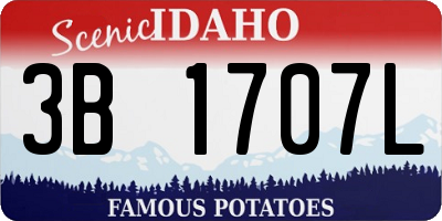 ID license plate 3B1707L