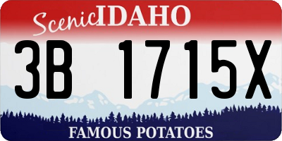 ID license plate 3B1715X