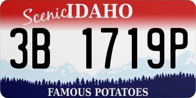 ID license plate 3B1719P