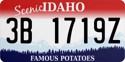 ID license plate 3B1719Z